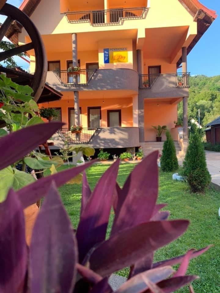 M Dey Hotel Vişeu de Sus Exterior foto