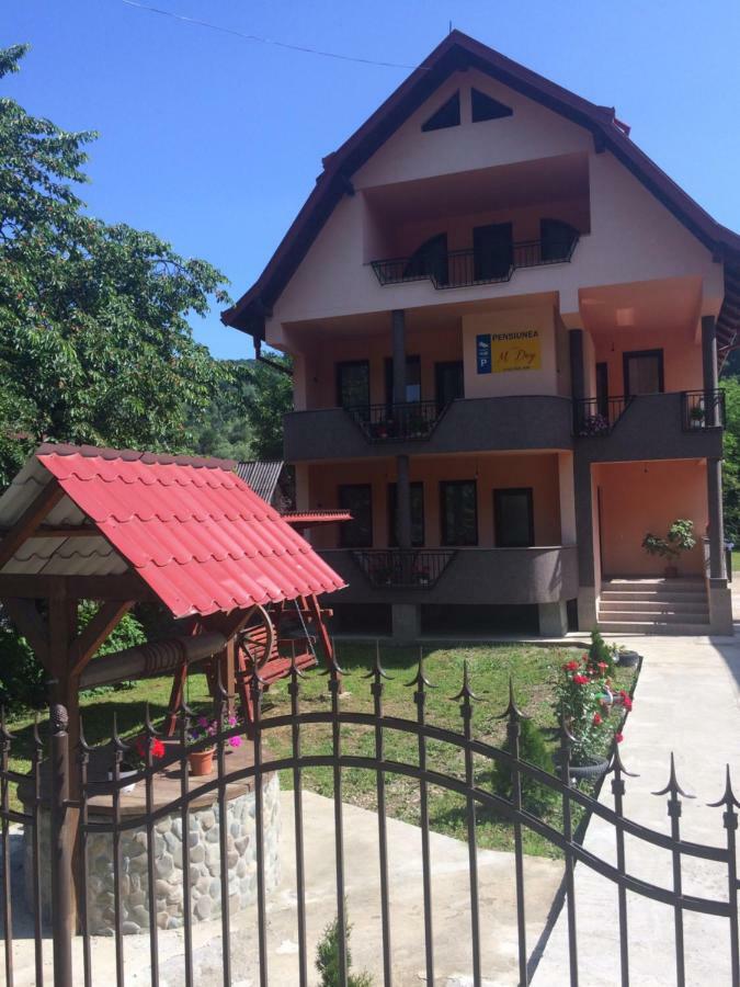 M Dey Hotel Vişeu de Sus Exterior foto